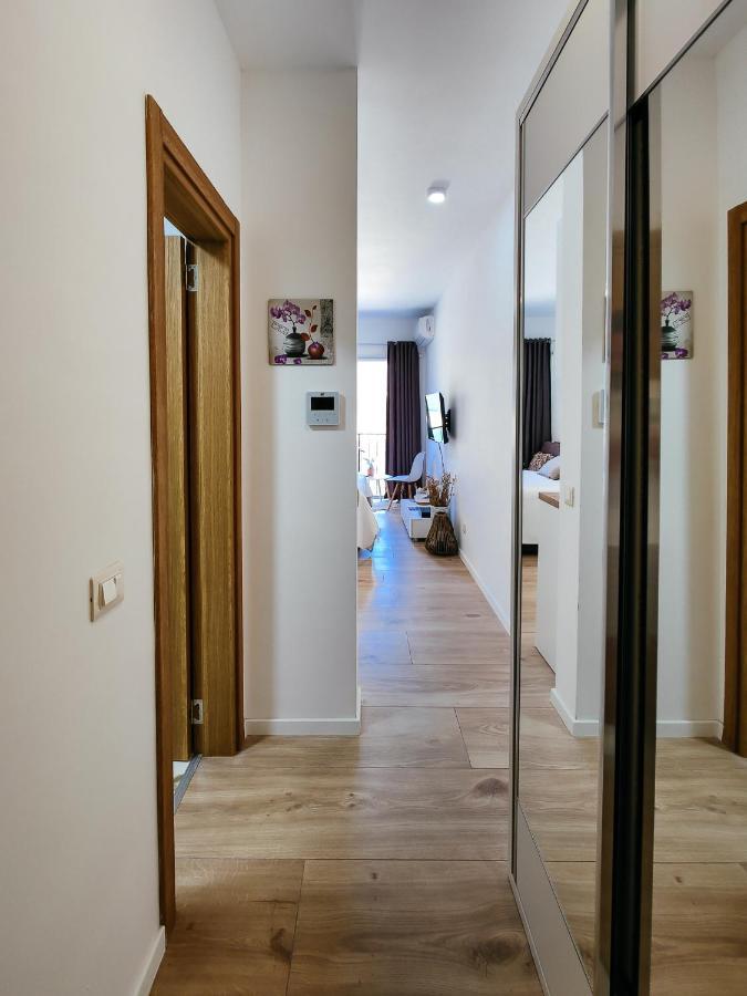 Brand New Studio With Panorama View Kotor Ngoại thất bức ảnh